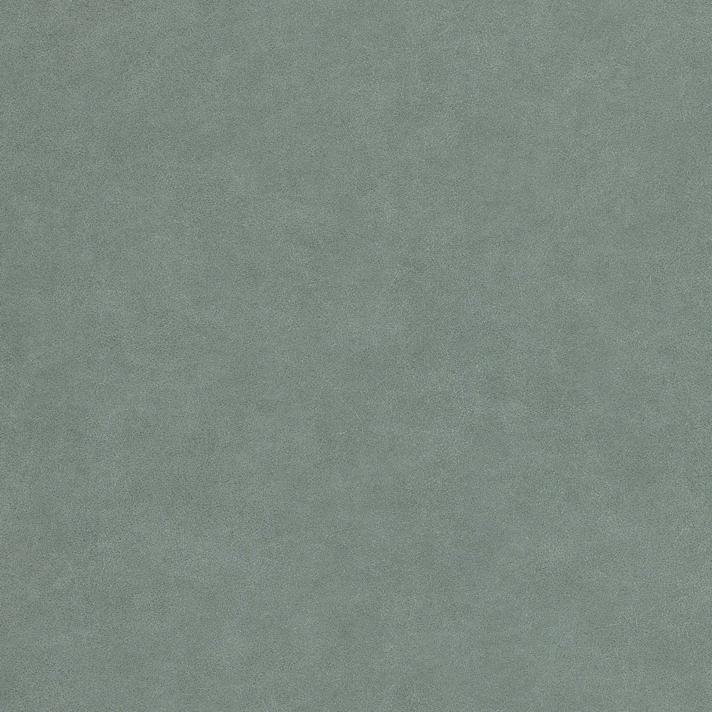 Agave_Upgraded_Fabric