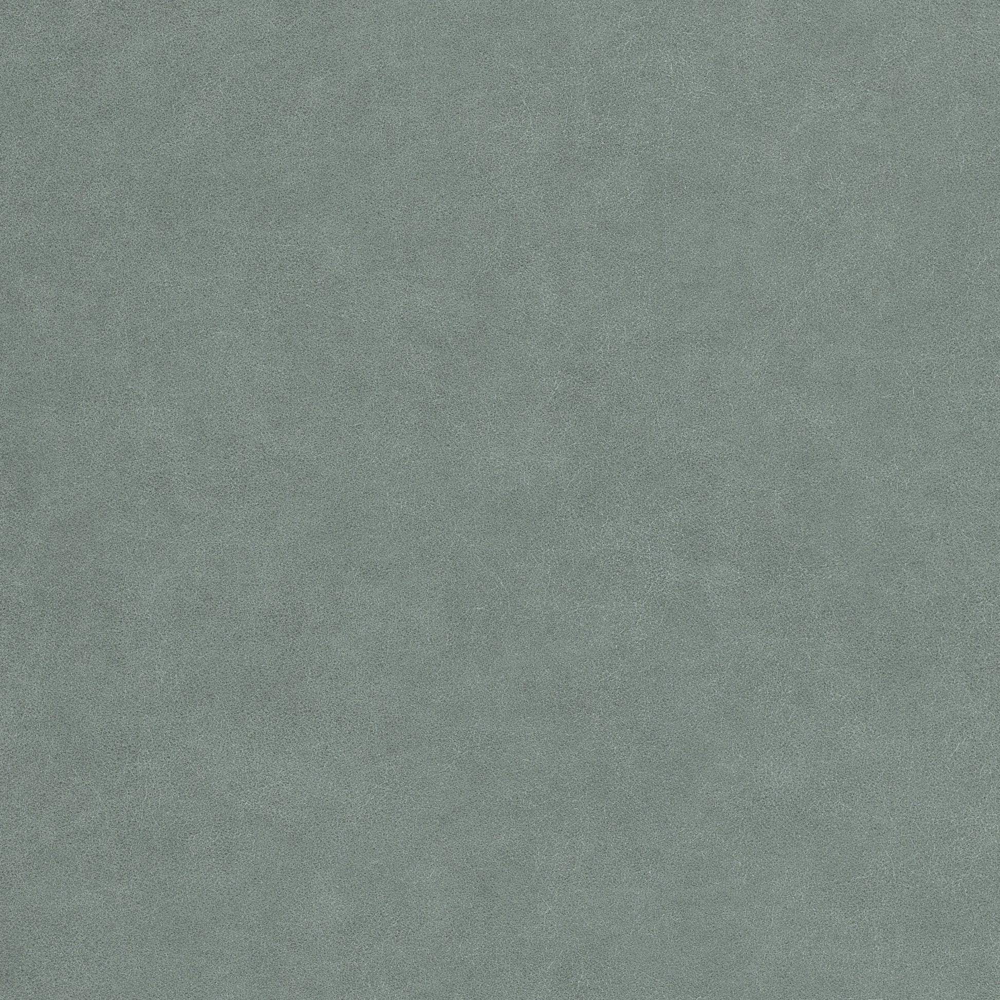 Agave_Upgraded_Fabric