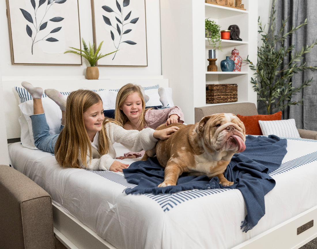 Two girls and a dog lying on a bed in a modern living room.