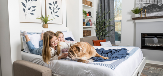 Murphy Bed Ideas to Spruce Up Any Room